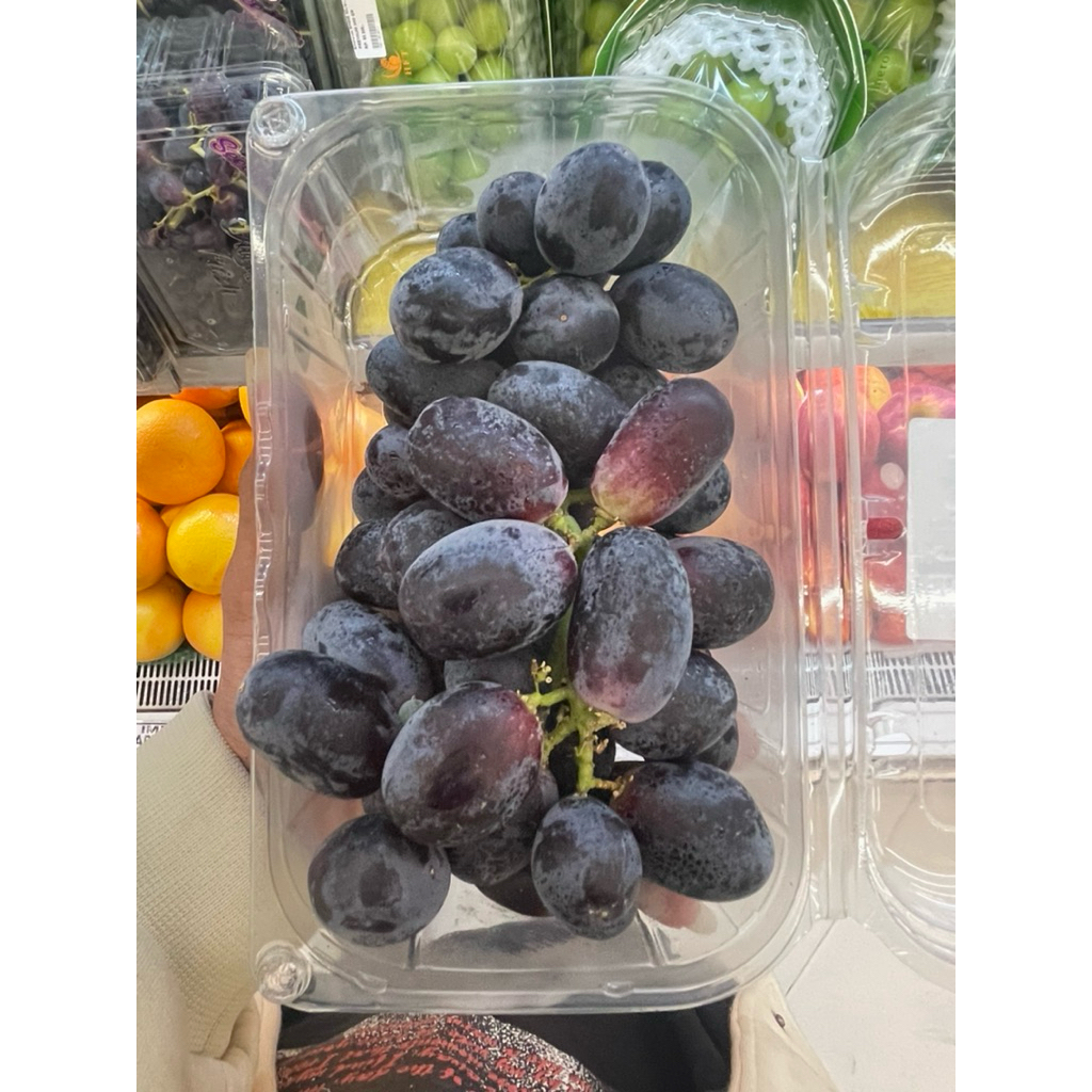 

Anggur Midnight Beuty Mesir Sweet Fresh 500gram/pack