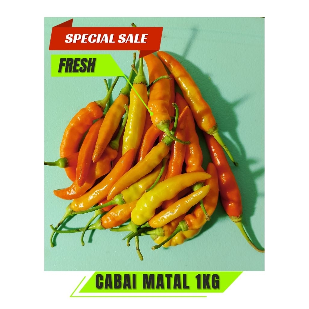 

READY STOK Cabai Rawit Pedas Matal 3 kg