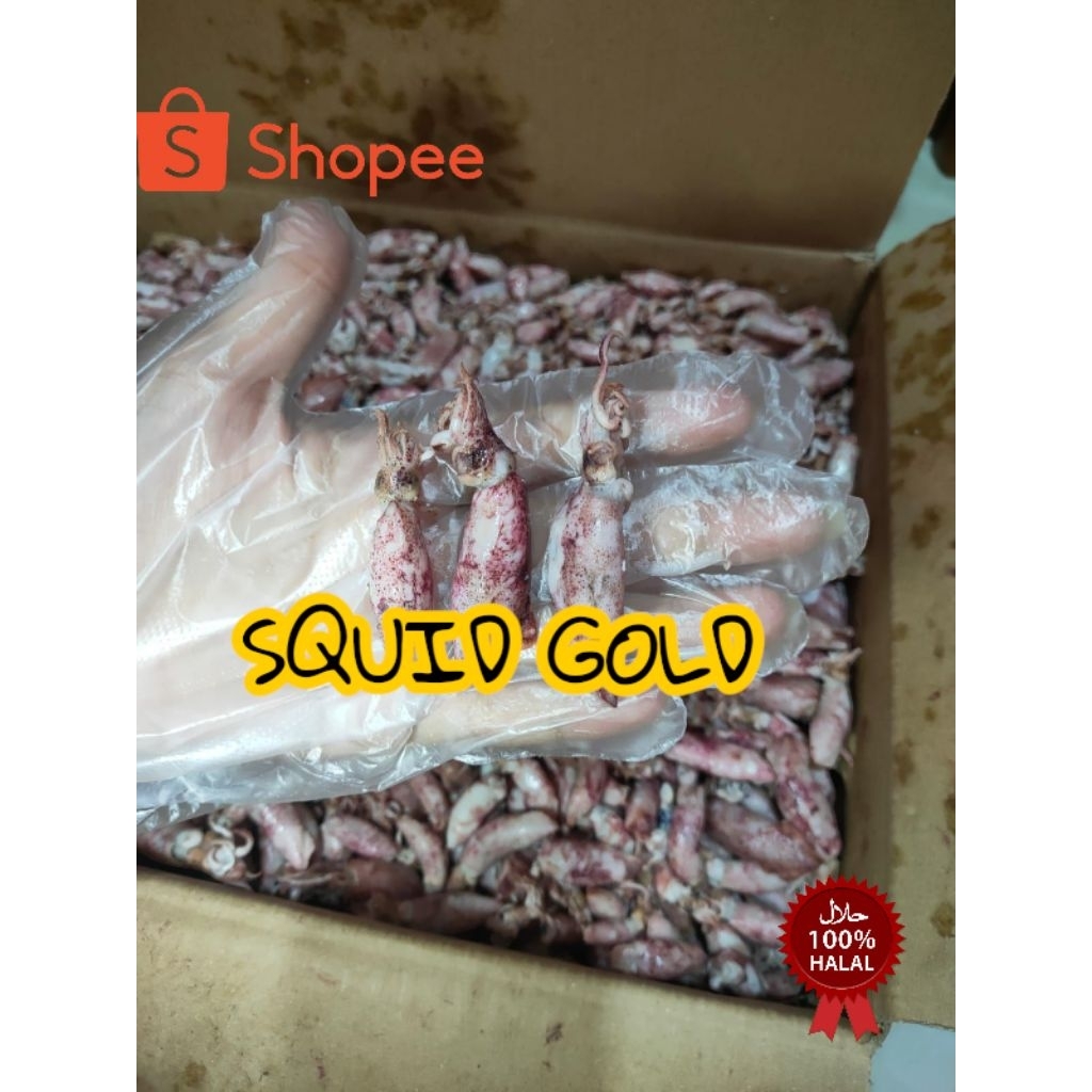 

cumi asin rebus baby 1kg