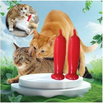 KONDOM KUCING - Alat Kontrasepsi Kucing Pemuas Birahi Kucing TANPA KAWIN & STERIL Mencegah Kucing Ha