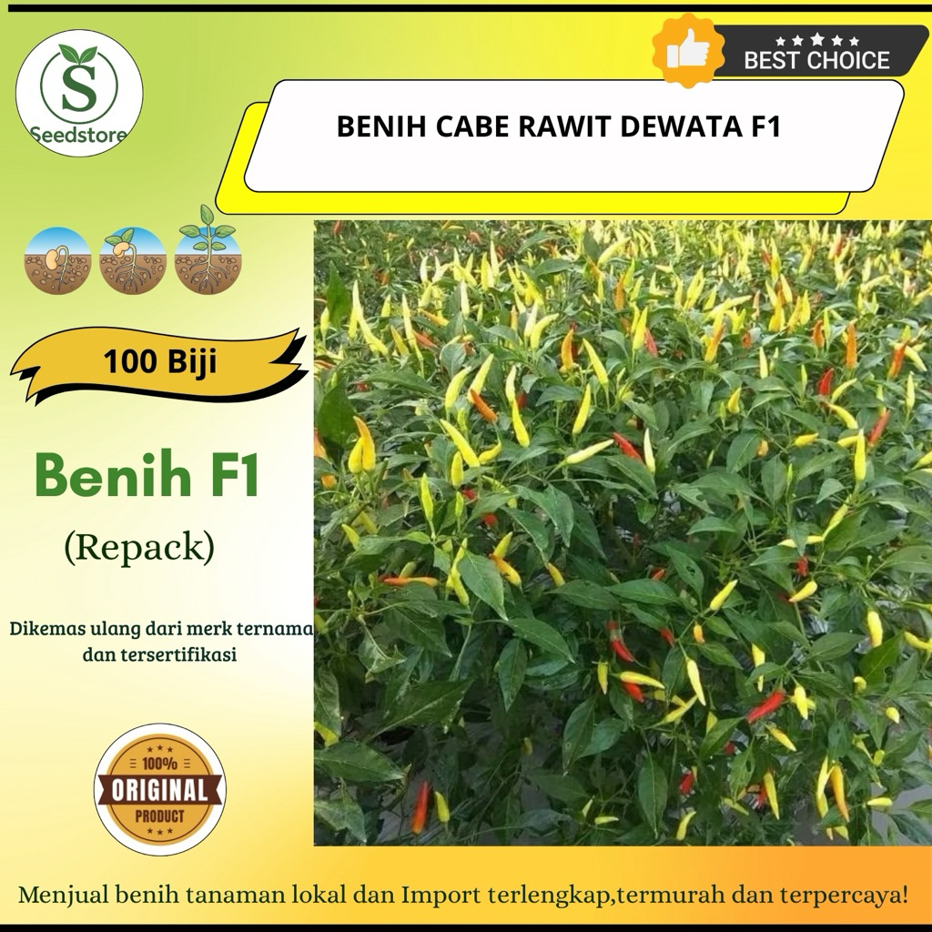 100 Biji - Benih cabe rawit DEWATA 43 F1 cabai dewata 43 f1 hibrida rawit putih