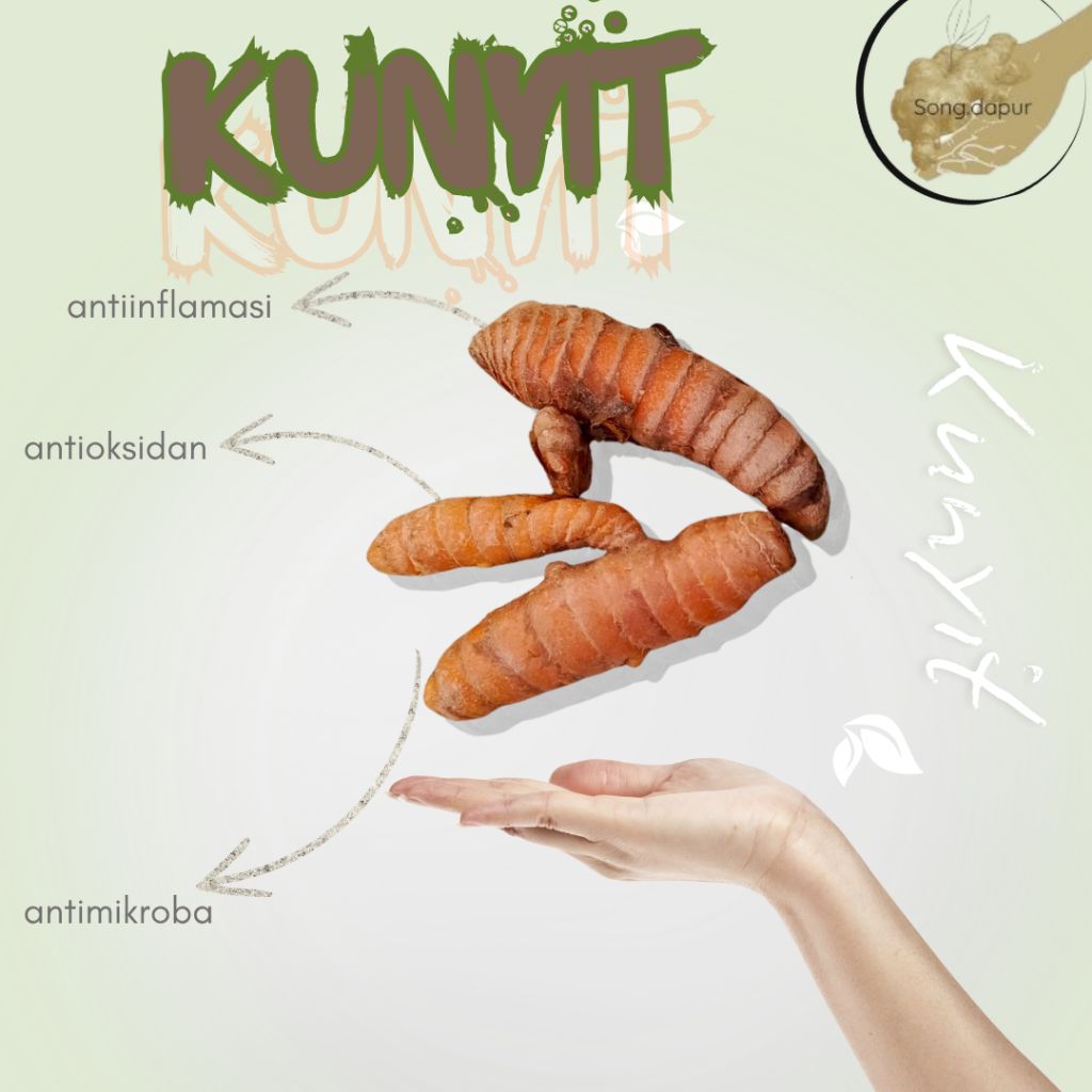 

Kunyit/Kunyit Kuning/Kunyit Segar/Turmeric
