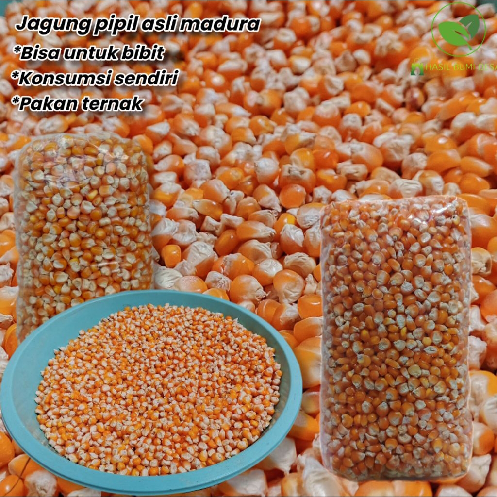 

jagung pipil / jagung madura 1kg