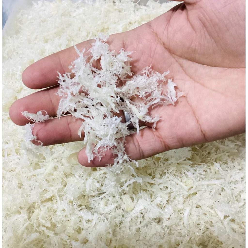 

Sarang Burung Walet hancuran bersih yenwo 1 gram/100% walet asli