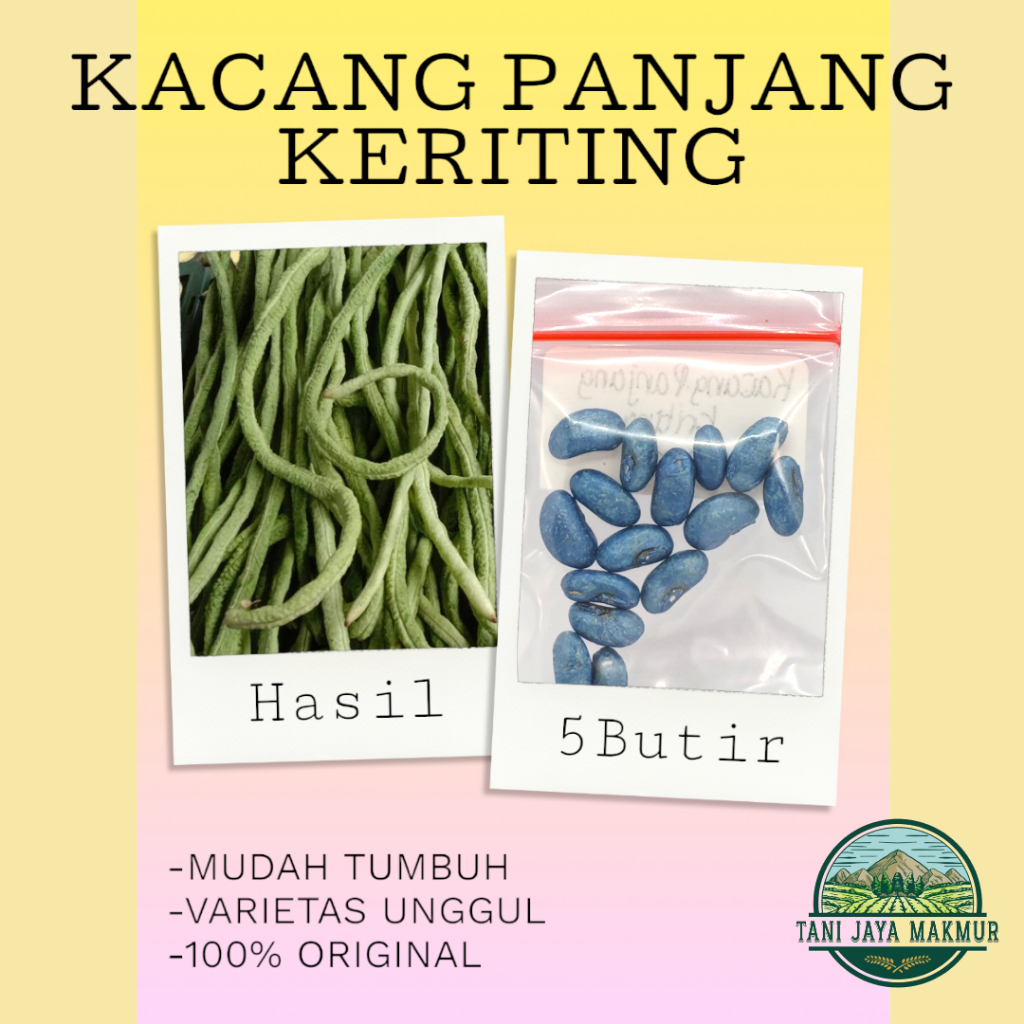 BIBIT BENIH SERIBUAN - Kacang Panjang Keriting isi 5 butir