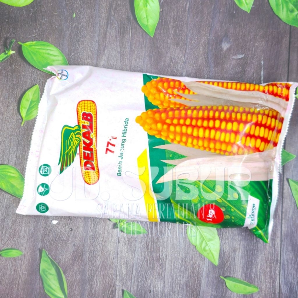 DEKALB 771 BENIH JAGUNG HIBRIDA Berkualitas Tinggi (Berat bersih: 1 kg).