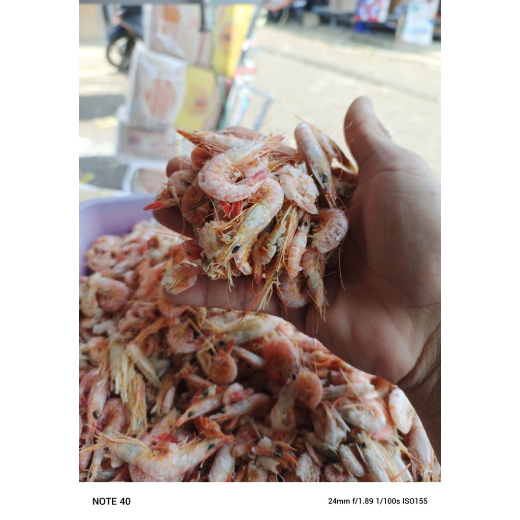 

UDANG KASAR, udang ebi, udang asin, ikan asin udang, berat 500gram