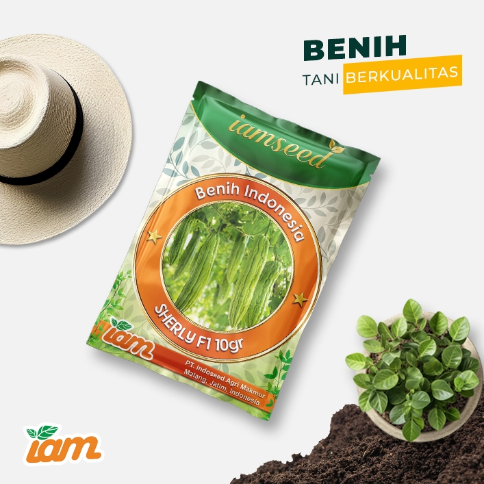 

Sherly F1 10gr | Paria maya panjang