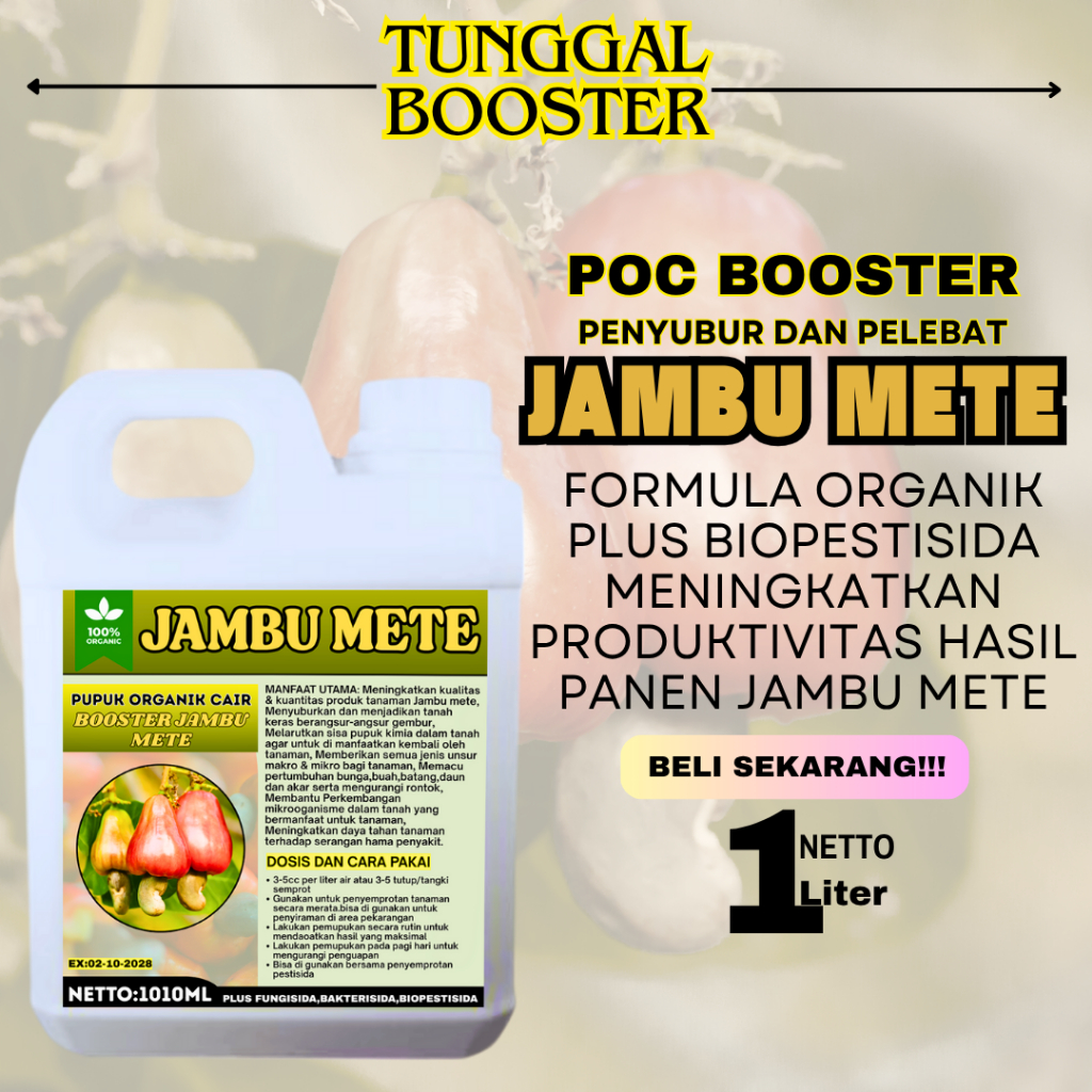Pupuk Organik cair Tanaman Jambu Mete Premium/Pupuk Pelebat Jambu Mete/Pupuk Penyubur dan Perangsang