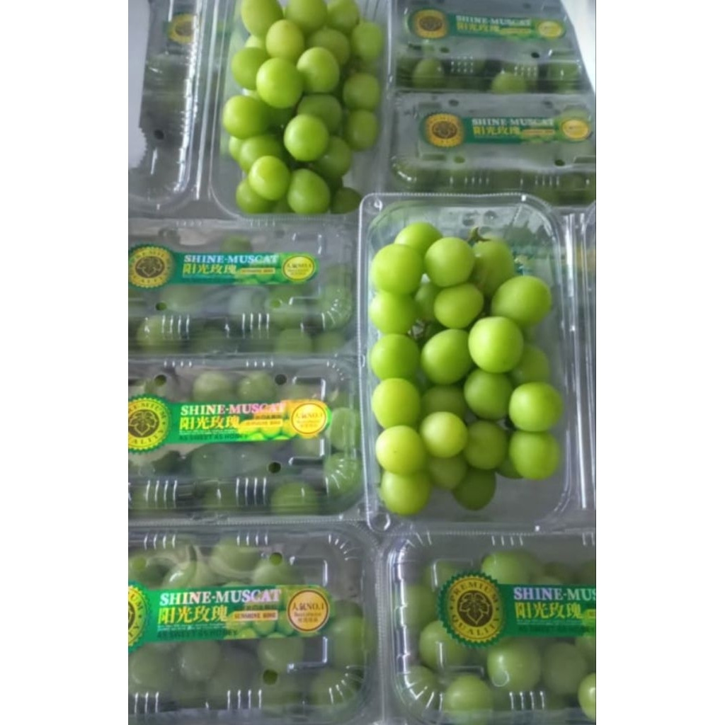 

Buah Anggur Hijau Shine Muscat