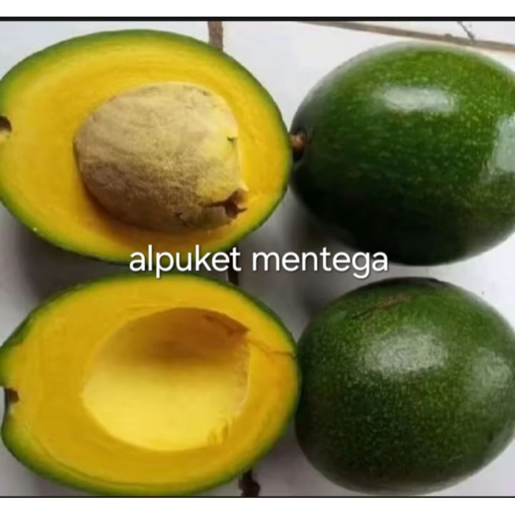 

alpuket.mentega.1klo.isi.345