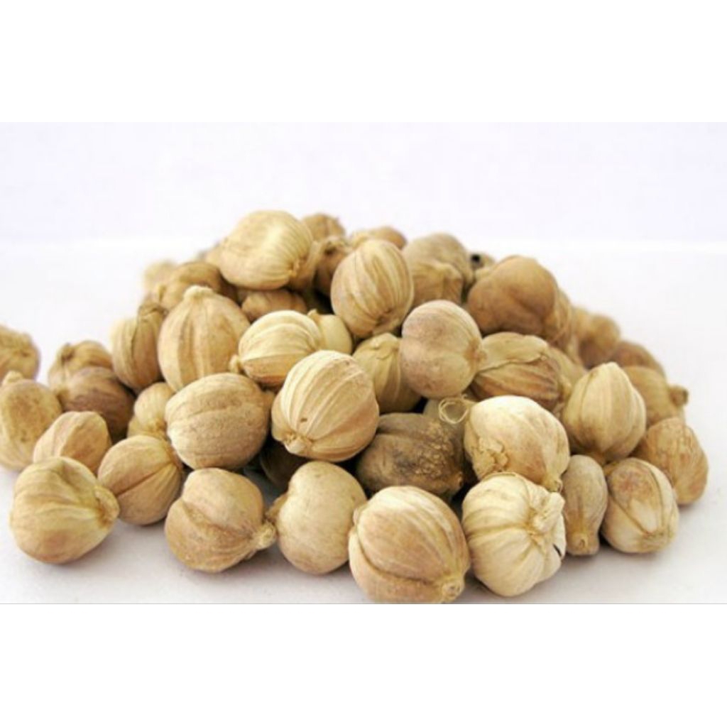 

KAPULAGA JAWA KERING 50 GRAM