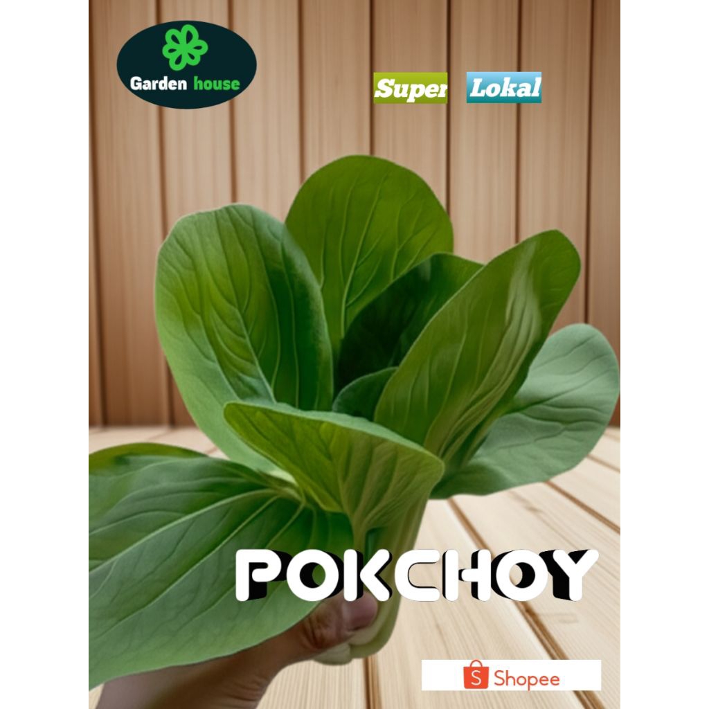 

Pokcoy Segar | 250gr / 500gr / 1kg