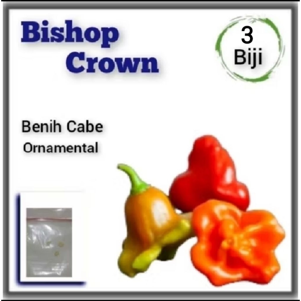 Benih Cabe Hias Bishop Crown F1 Hibrida