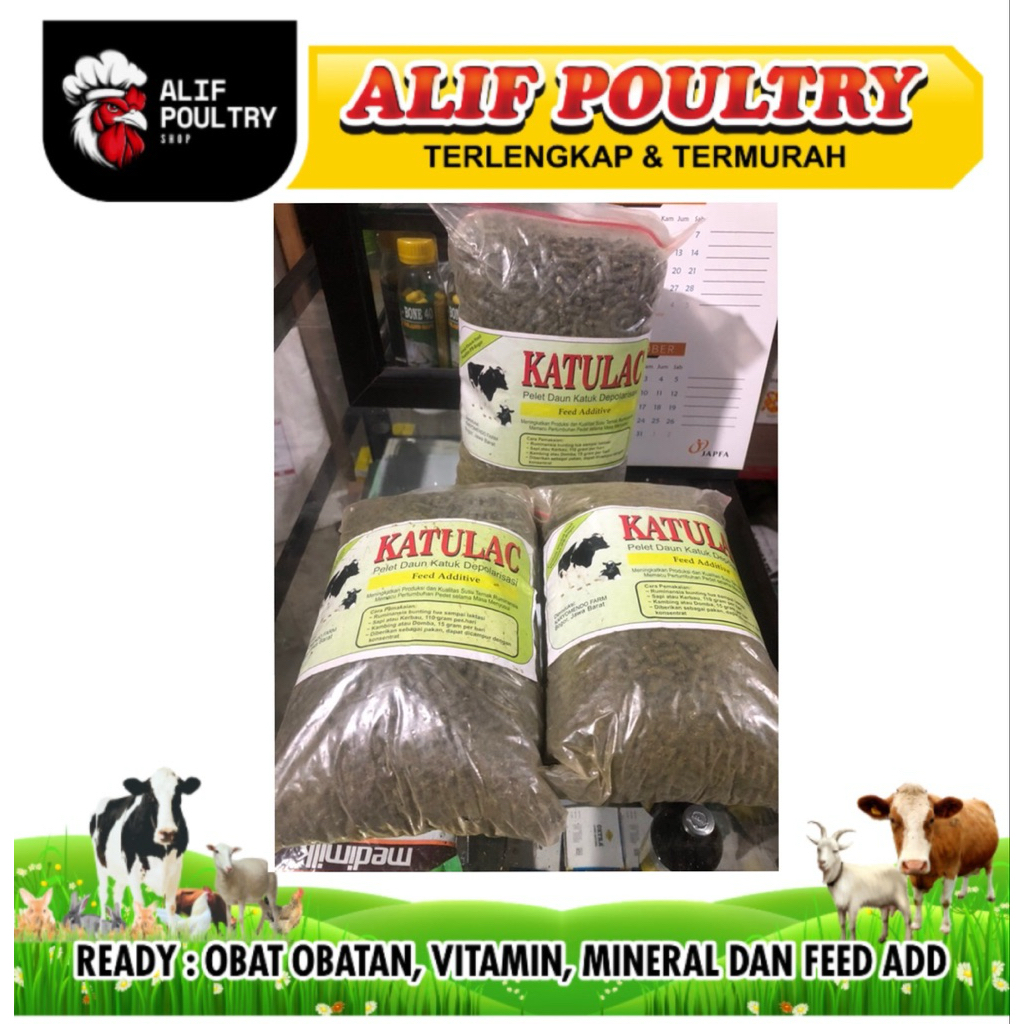 KATULAC - pelet daun katuk dispolarisasi