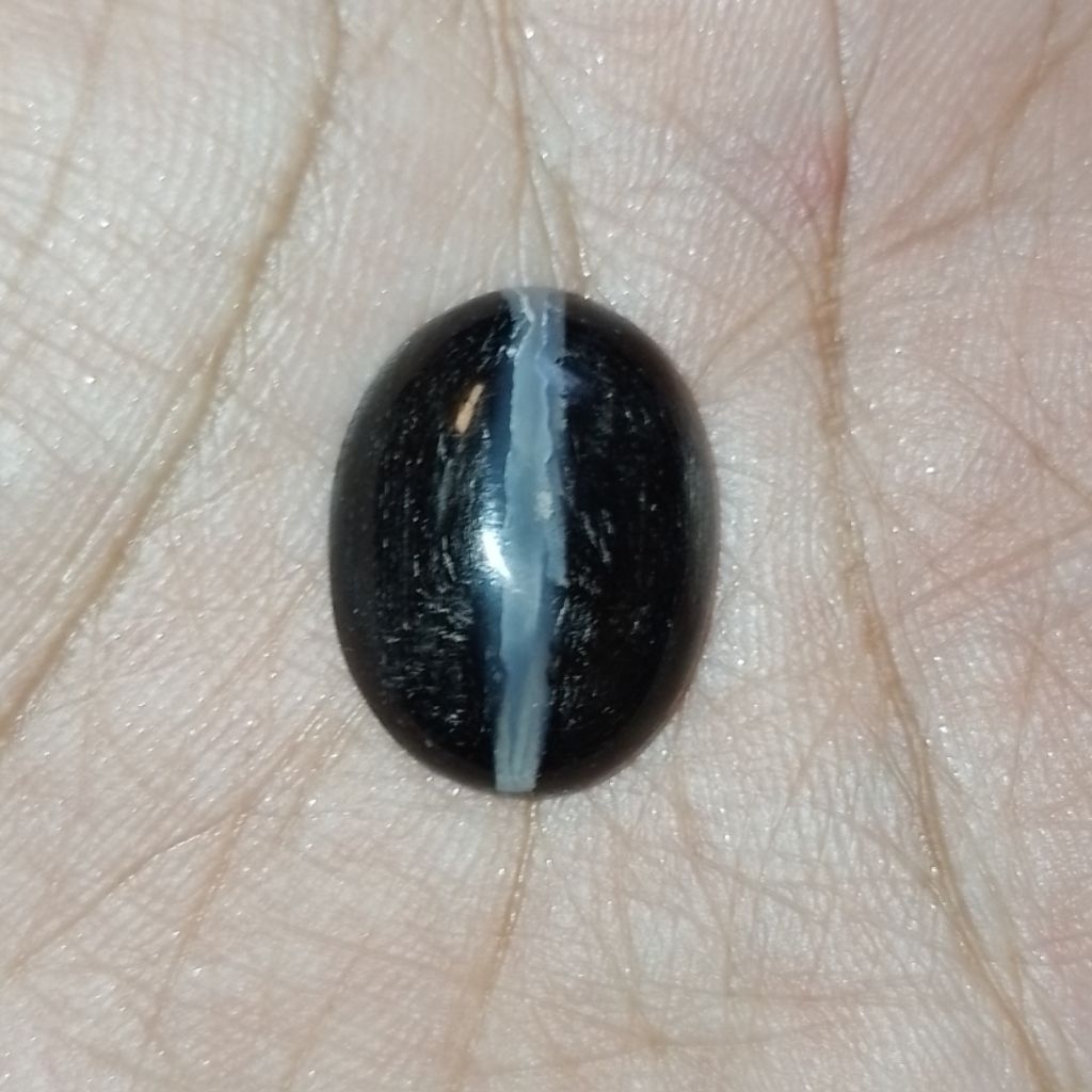 Natural Batu Fosil Kelor Hitam Kendit Tembus Lurus