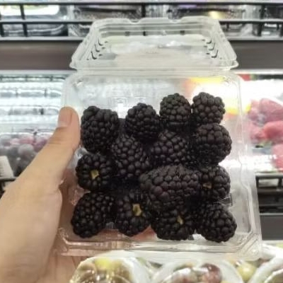 

Buah BlackBerry import Driscoll super premium pack