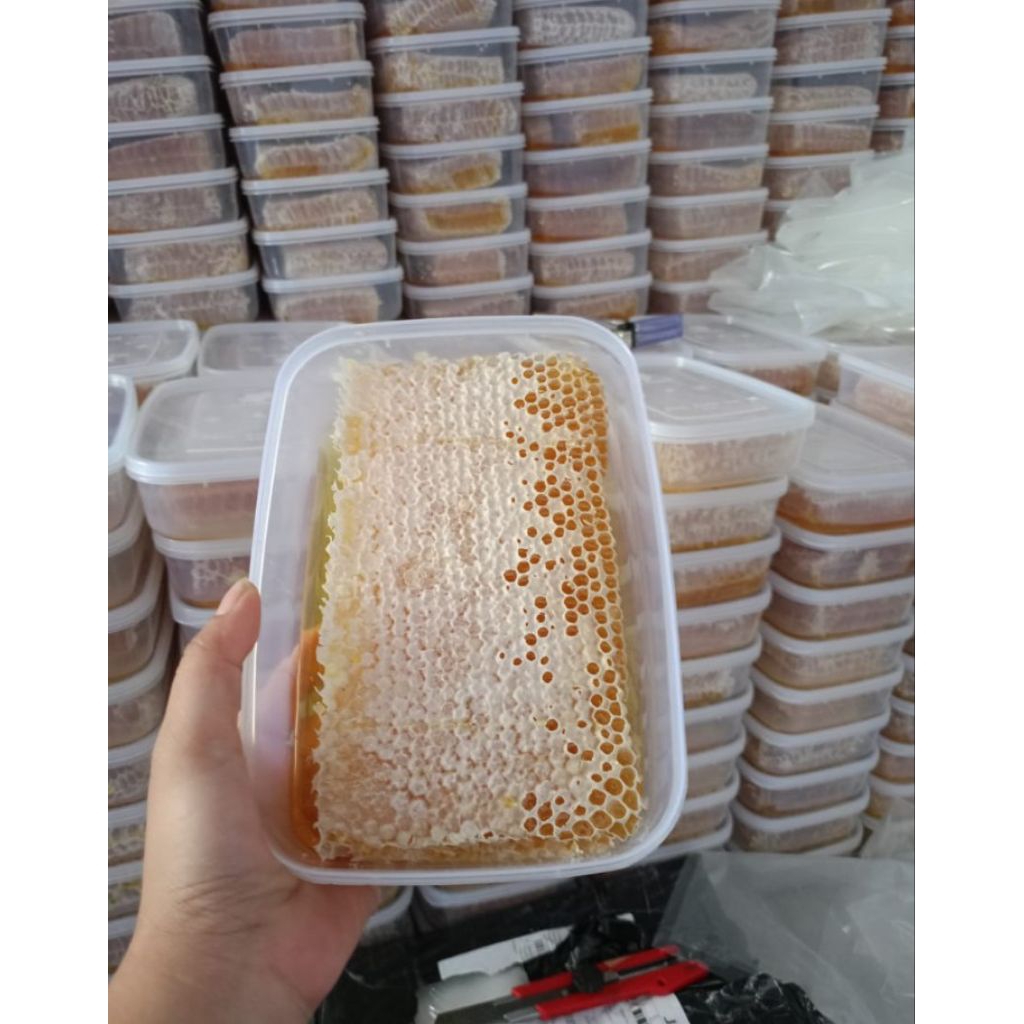 

(500gr)MADU sarang melifera murni