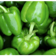 

Paprika Hijau Medan Daily Market