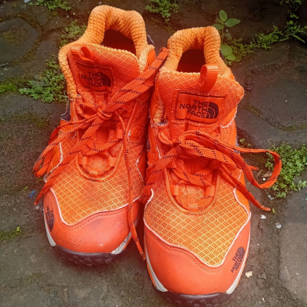 Sepatu gunung The north Face
