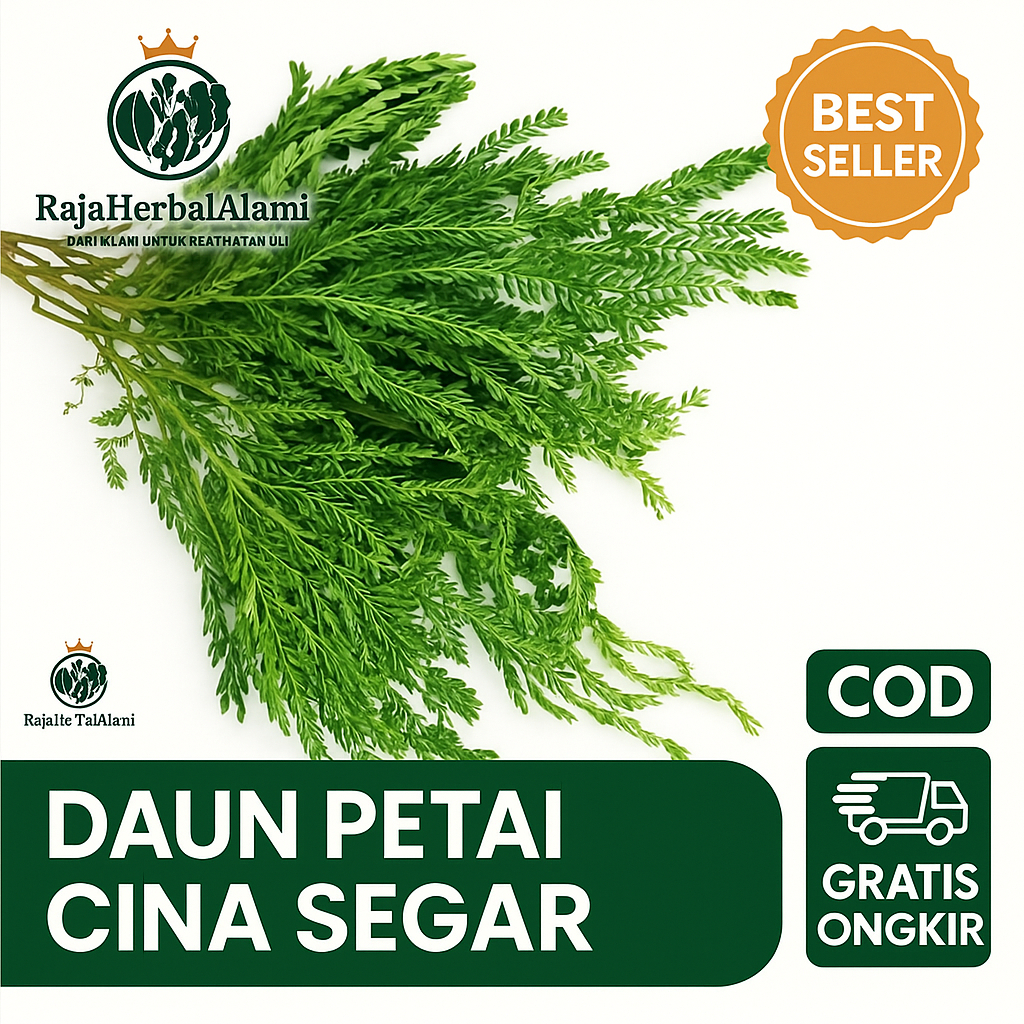 

Daun Pete Cina/Lamtoro Segar 500 GRAM | COD