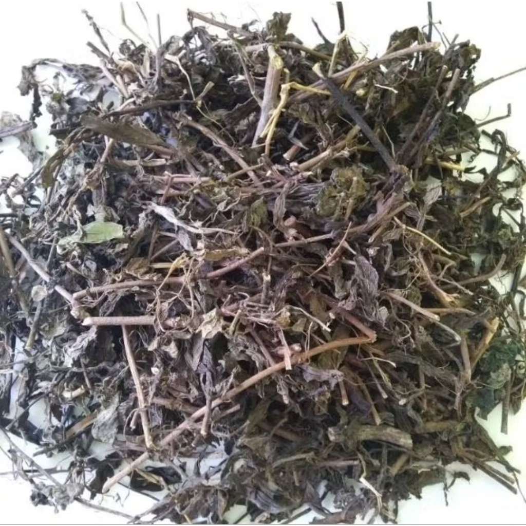 

kumis kucing kering berat 250 gram