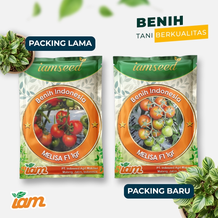 

Melisa F1 1gr | Tomat