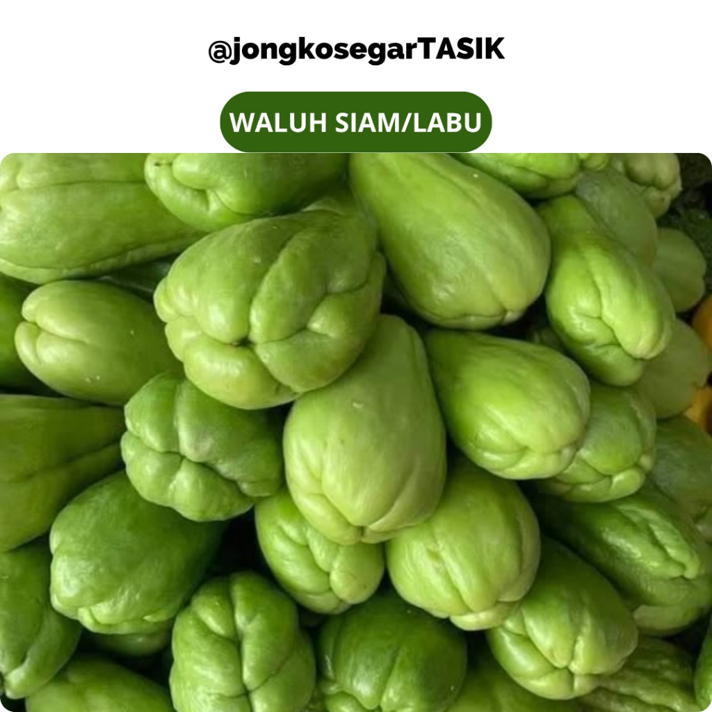 

jongkosegarTASIK - Labu Siam Muda Segar 500 Gram / Labu Siam