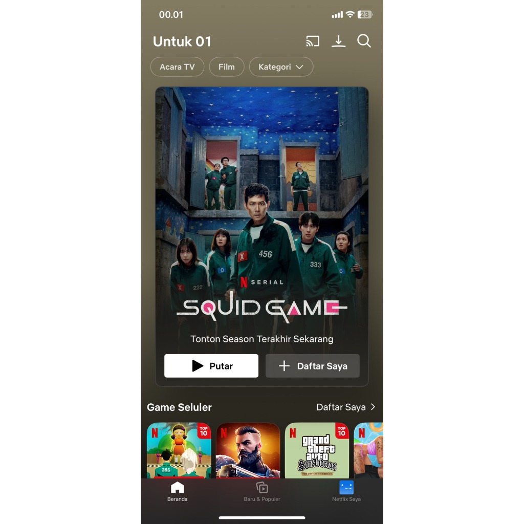 Netflix 1 bulan privat