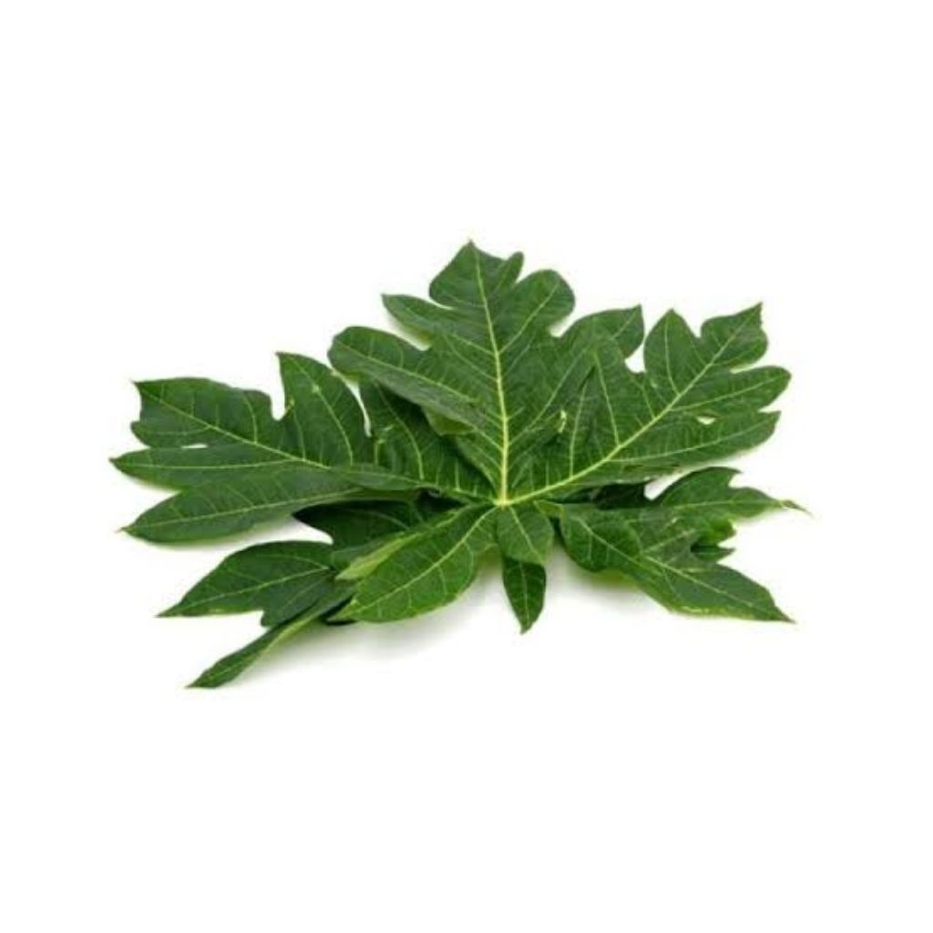 

Daun Pepaya Segar - Sayur Tradisional Penuh Khasiat