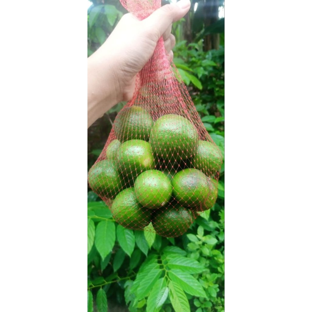 

JERUK NIPIS FRESH ASLI BLITAR 1 kg