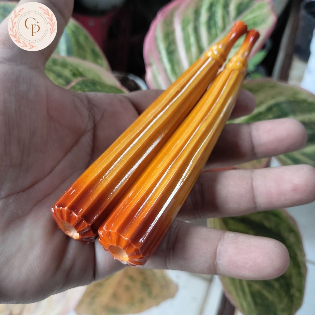 Pipa once / once cangklong sari gading 99 / srigading 99 lawasan / serbuk tulang mirip 99 lawasan mo