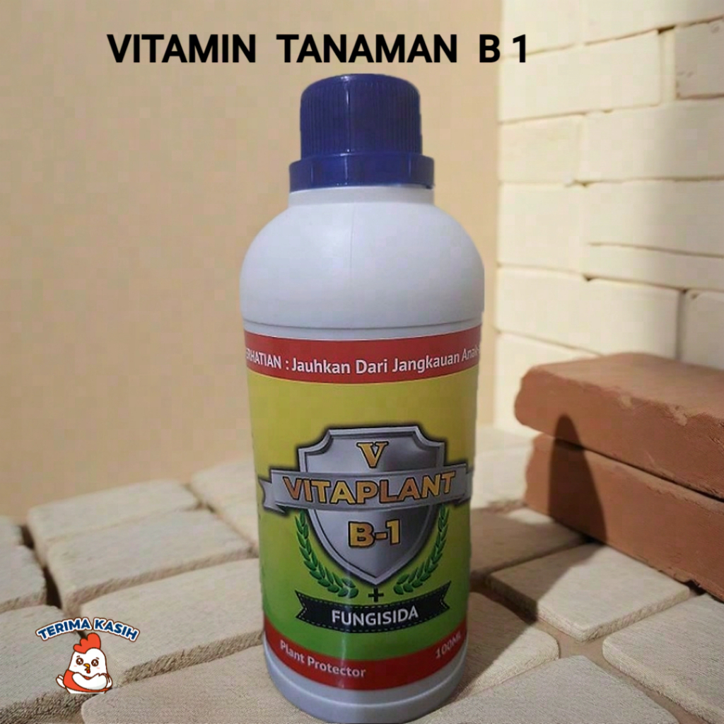 Vitaplant 500 ML Vitamin B1 Plus Fungisida Dan Anti Bakteri