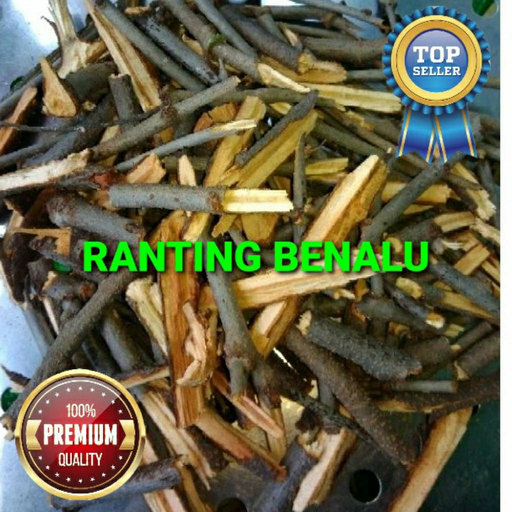 

benalu jeruk purut 1000 Gram