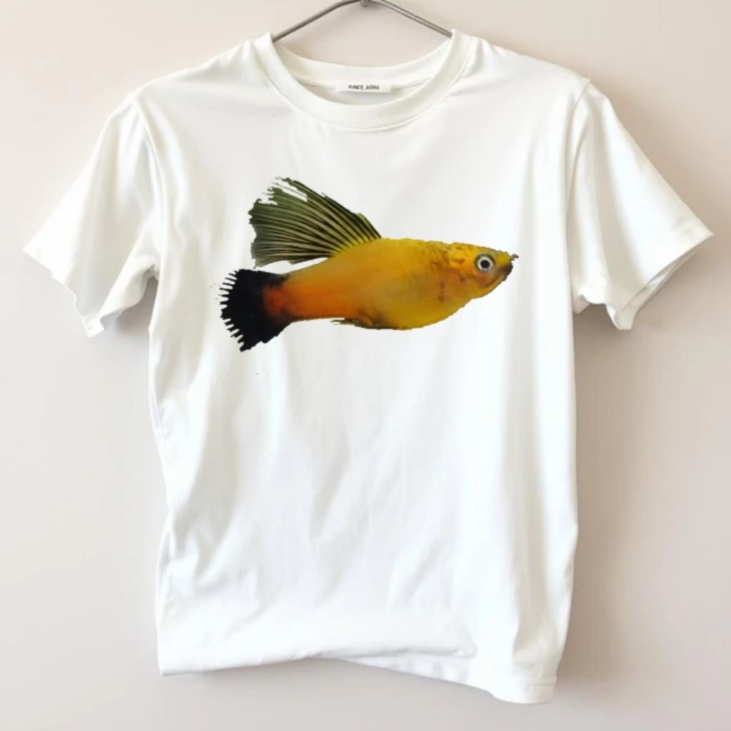 Platy Variatus Yellow Wag