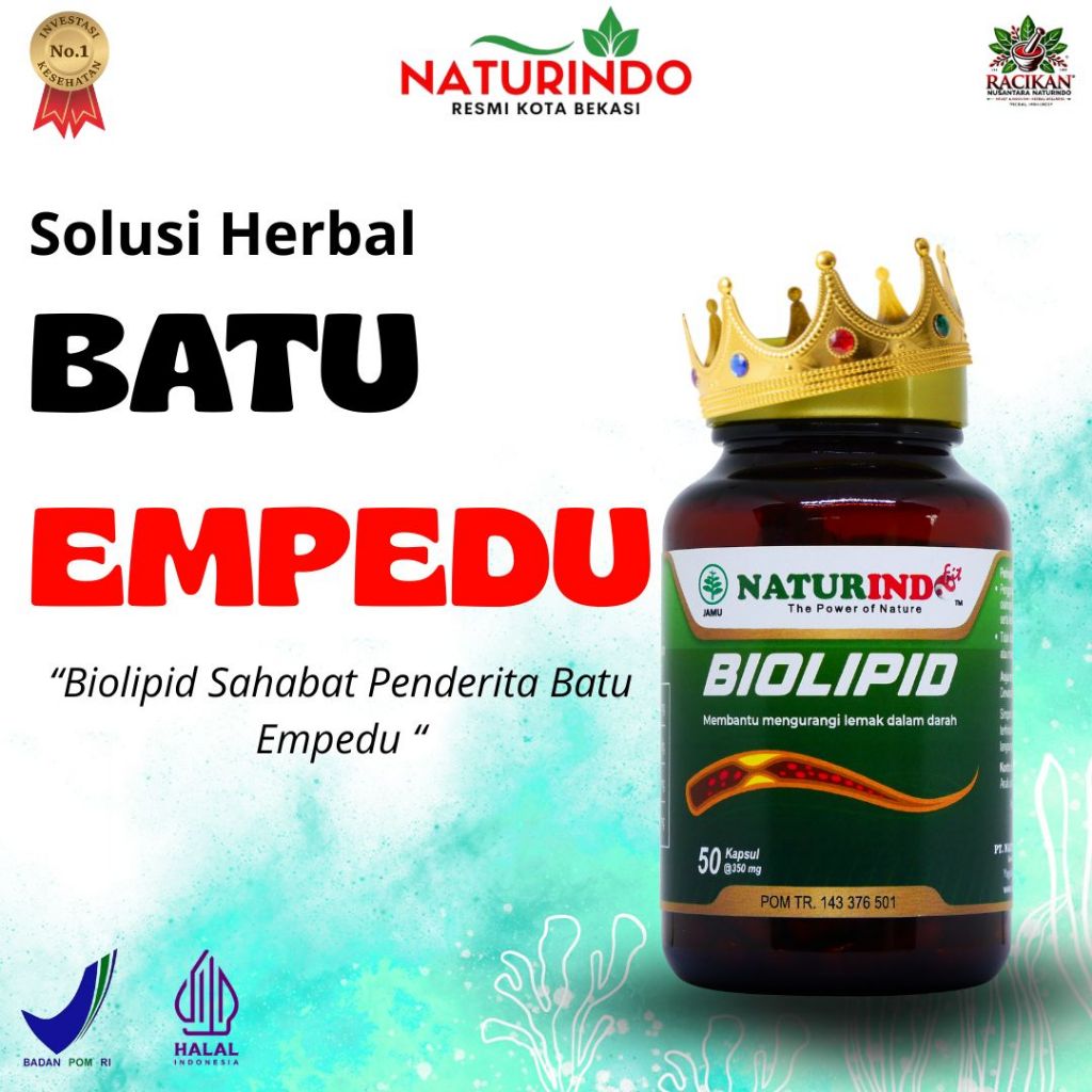Herbal Alami Batu Empedu Biolipid Hepatifit Naturindo
