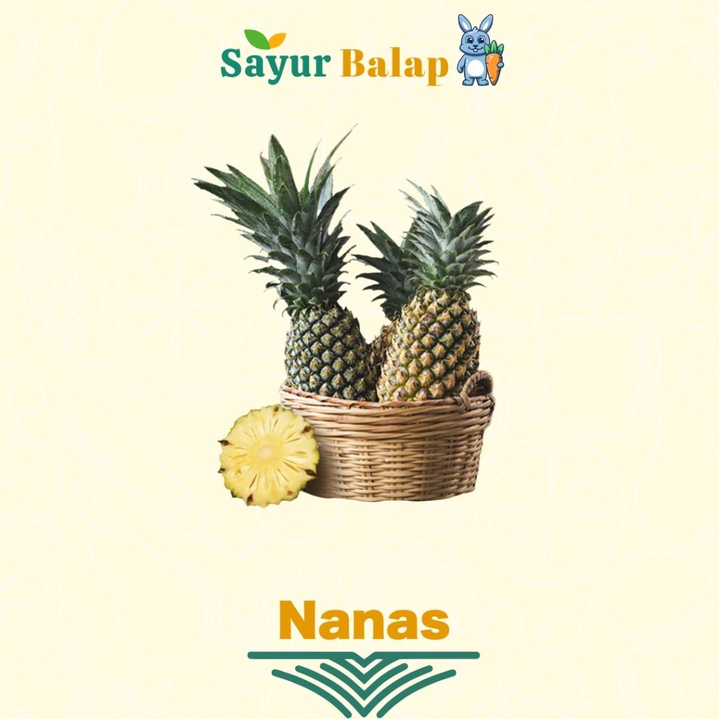 

Nanas - 1 Buah - Sayur Balap Lampung