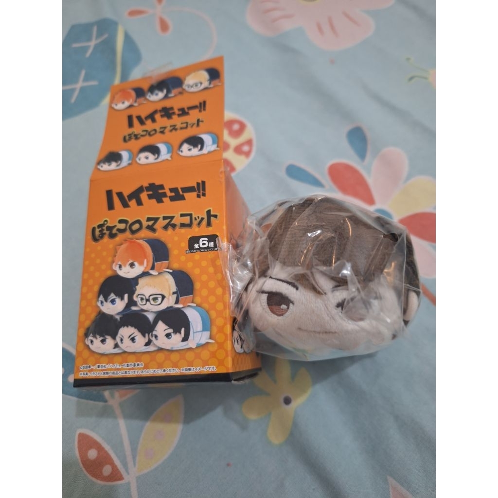 Potekoro Haikyuu Oikawa