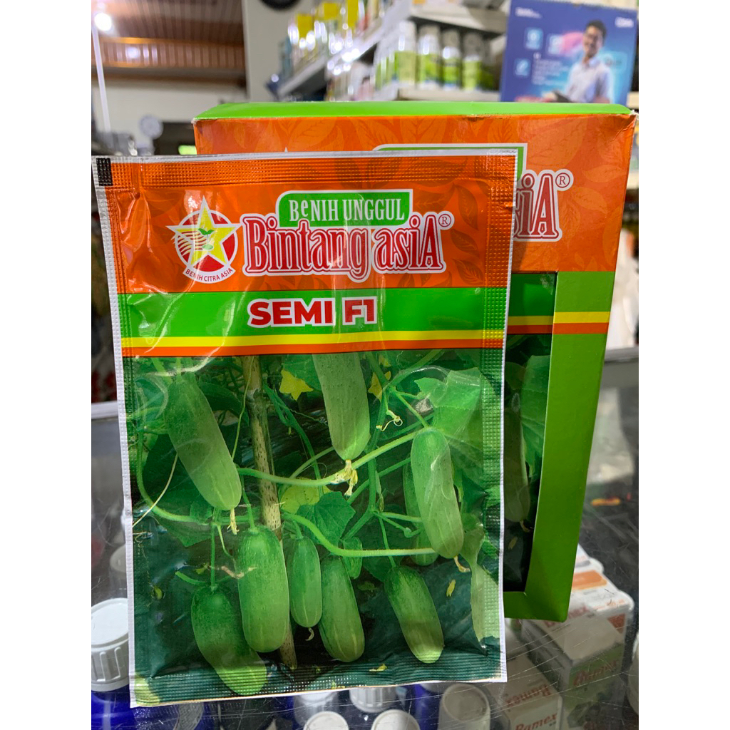 BIBIT TIMUN SEMI F1 20gr