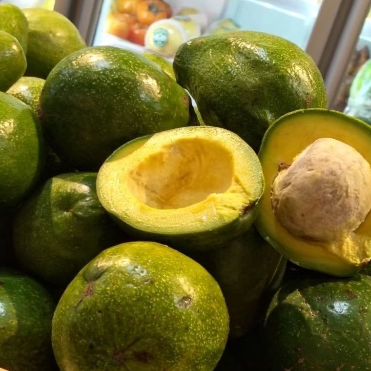 

Alpukat mentega Lampung - Alpukat mentega 1kg - alpukat mentega legit