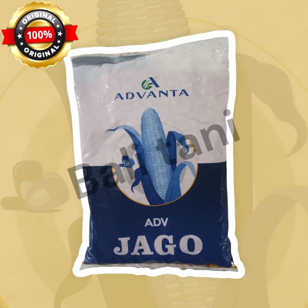 Benih jagung ADV JAGO PAC 789  ADVANTA
