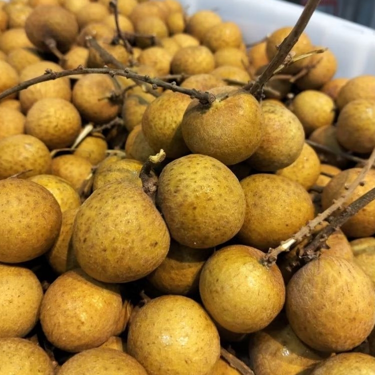 

Kelengkeng 1kg - Buah longan - Kelengkeng Bangkok manis juicy