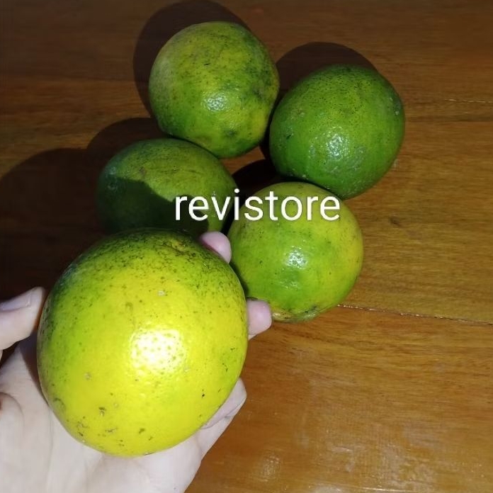

Lemon Kalifornia 1 kg Fresh Langsung Petik Dari Kebun