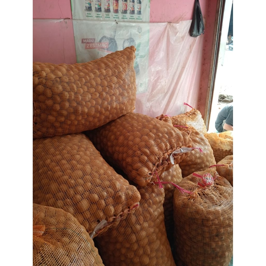 

Kentang Dieng Super Segar - Kualitas Premium 1kg - Asli Dataran Tinggi Jawa Barat - Gurih & Tahan Lama - Pengiriman Cepat H+1 - Terlaris