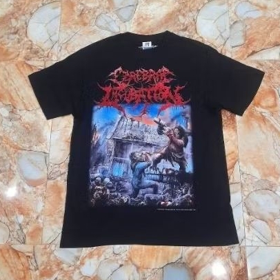 Ts CEREBRAL INCUBATION fermented