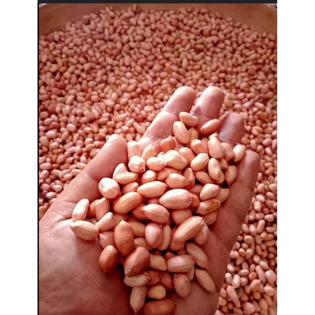 

kaacang tanah kupas mentah super 1kg