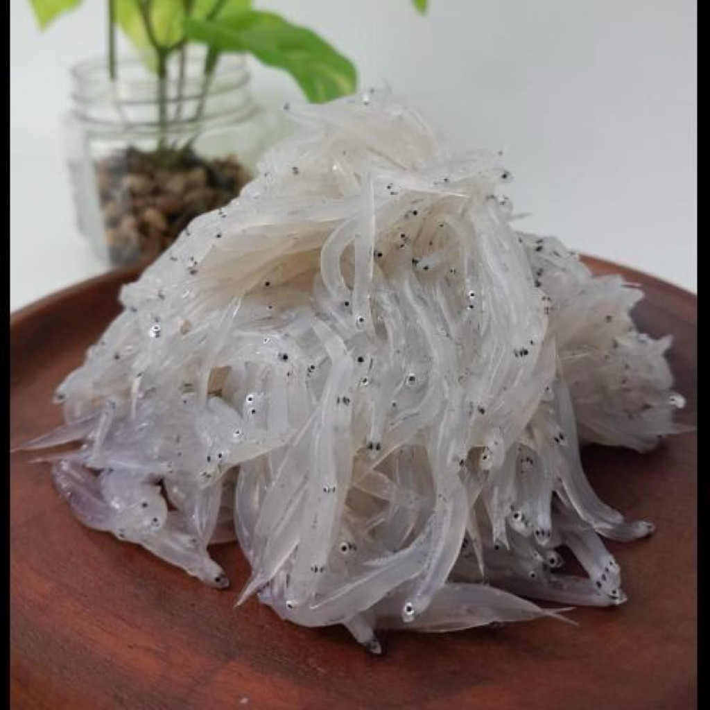 

[IKAN SEGAR] Teri Nasi Basah Kualitas Premium MPASI Kadar Air 0-5% 1 Kg