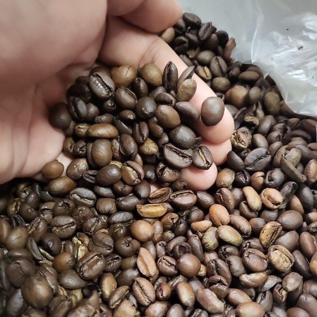 

Roas Bean Excelsa origin Boja ( Roasting Medium)