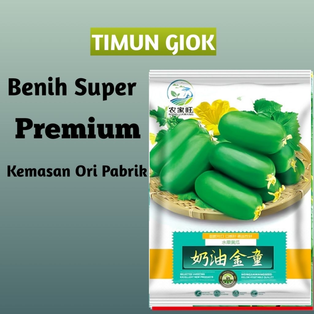 benih timun giok kualitas premium kemasan ori pabrik