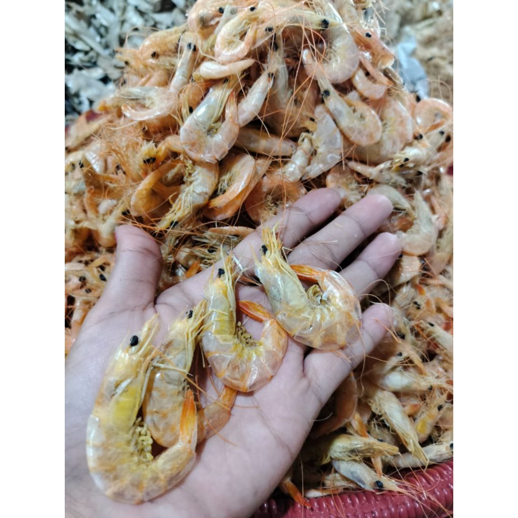 

Udang Kulit Sayur/Udang Manis Kulit Kualitas PREMIUM ♛